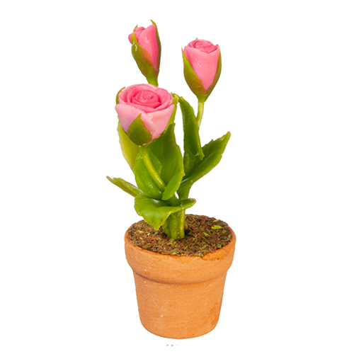 Pink Roses In Pot